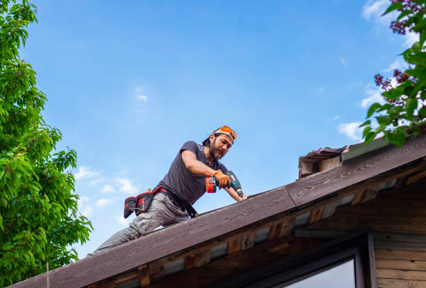 Best Cold Roofs  in Hamilton, MT