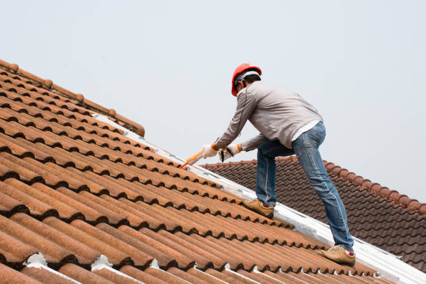 Best Rubber Roofing (EPDM, TPO)  in Hamilton, MT